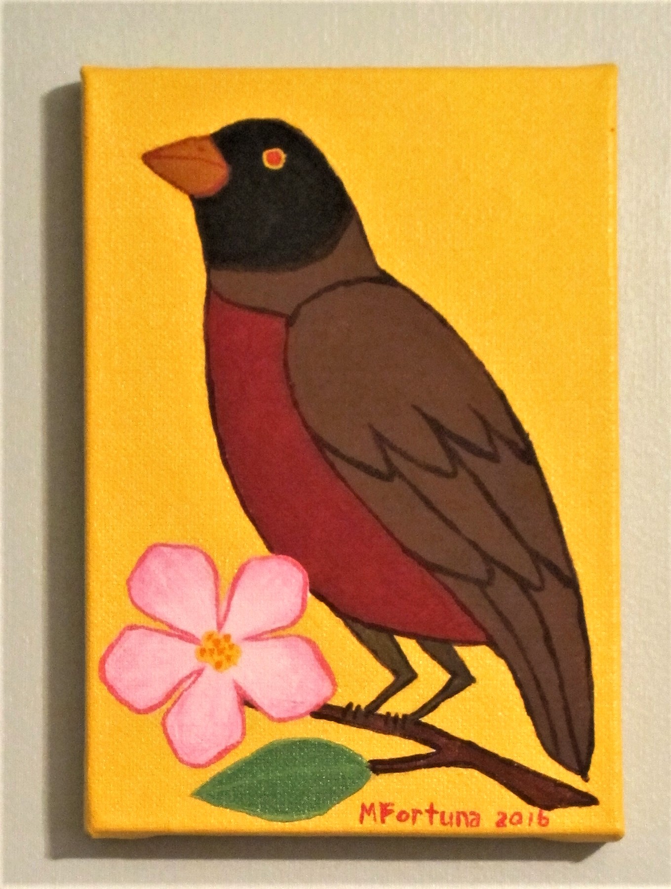 Robin 2016